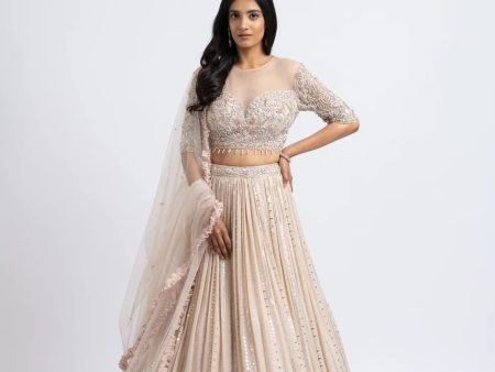 BLUSH MIRROR WORK LEHENGA CHOLI SET Supply