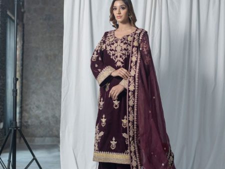 Velvet Suit Set Adorned With Zari And Appliqué Work And Paired With Organza Dupatta For Discount