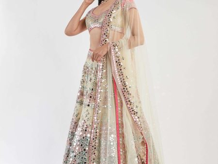 multicolored lehenga set Online Sale