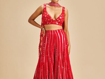 RED SHARARA SET For Discount