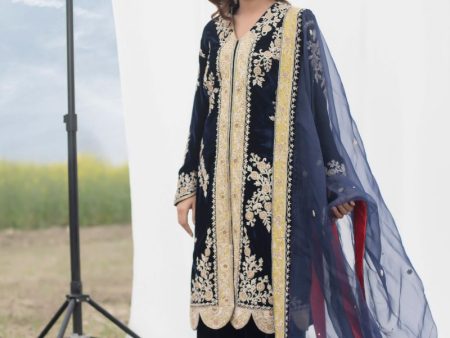 Velvet Suit Set Adorned With Zari And Appliqué Work And Paired With Organza Dupatta For Sale