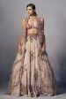 “Mabel” Chikankari Lehenga Set Online Hot Sale