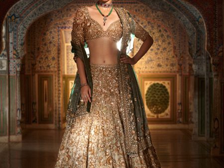 Champagne Zardozi Lehenga Set Online Sale