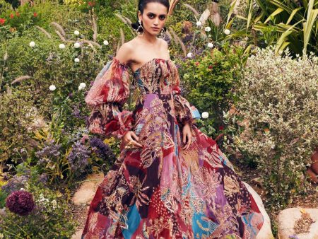 Plum Pastiche printed and embellished gown Online Hot Sale