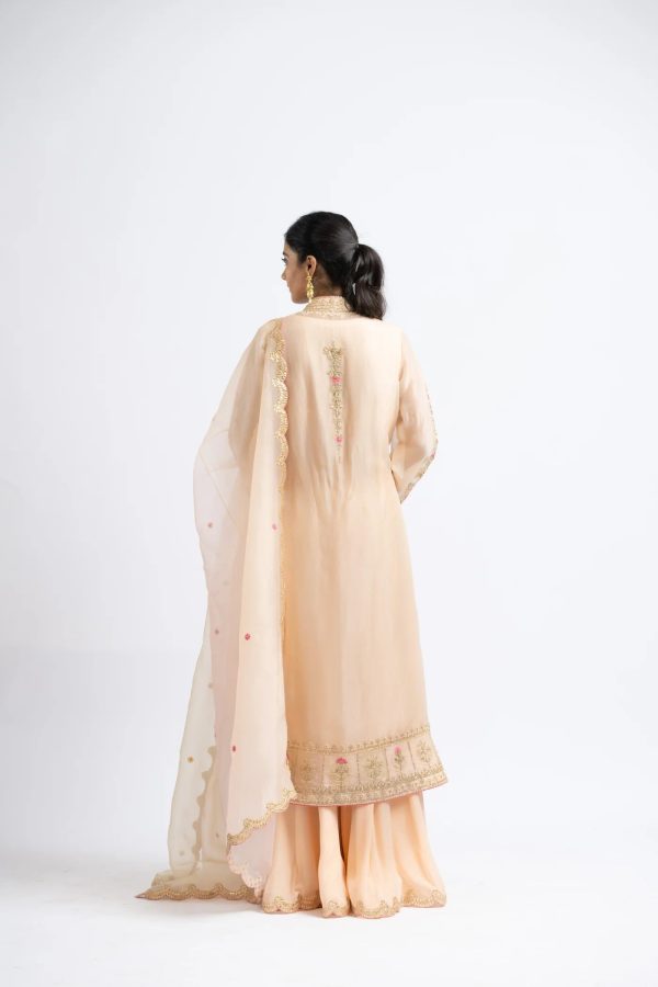 PEACH ORGANZA JACKET AND DUPATTA For Sale