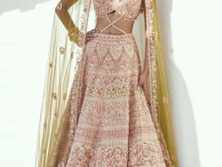 Light rust bridal lehenga Online