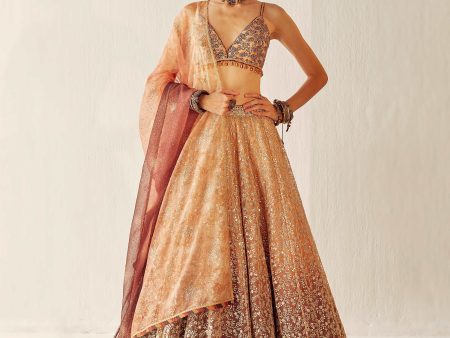 Autumn Gold Lehenga Set Fashion