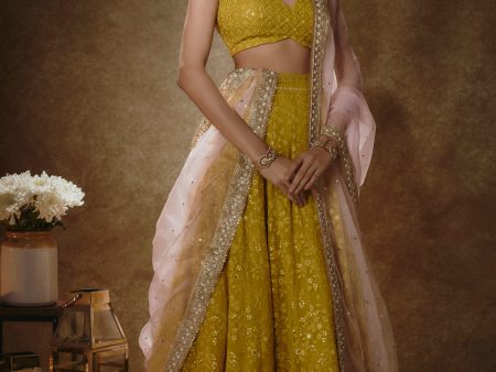 Citrine Yellow Lehenga Set Online