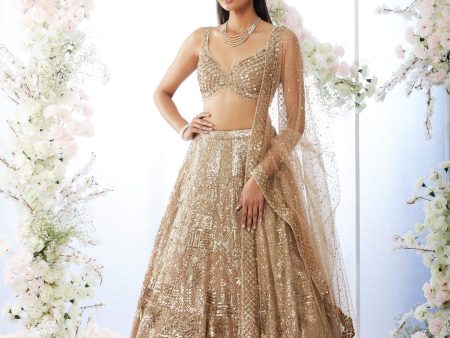 Biscotti Gold Sequin Lehenga Set Discount