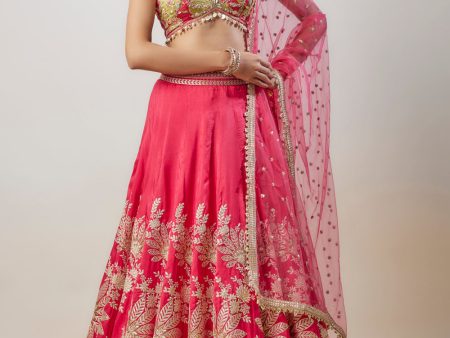 Alaya Lehenga Set Sale