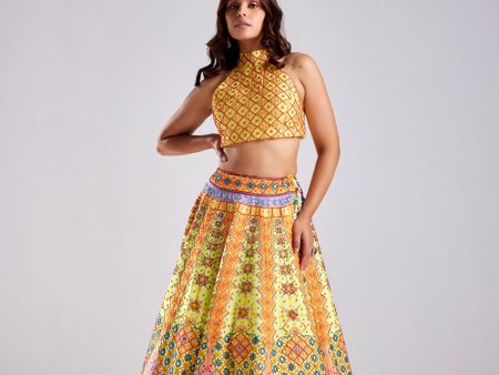 CANARY YELLOW EMBROIDERED LEHENGA Online