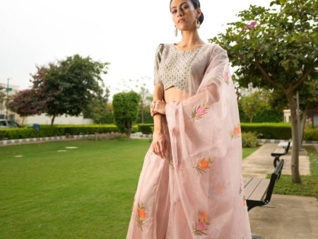 Embroidered Blouse With Organza Lehenga, Dupatta Hot on Sale