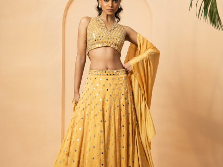 Golden Mirror Lehenga Set Online Sale