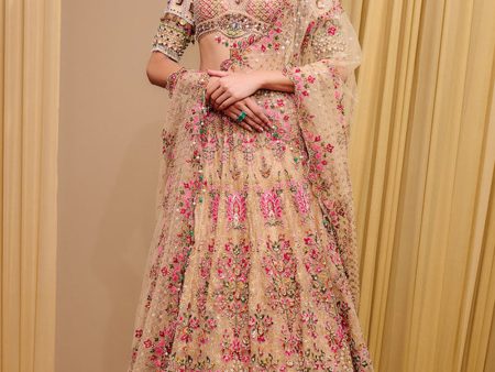 Classic Embroidered Lehenga For Discount