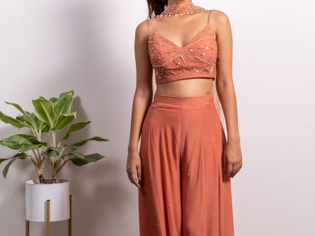 EMBROIDERED BUSTIER WITH HIGH WAISTED EMBELLISHED PALLAZO AND CHOKER DUPATTA Hot on Sale