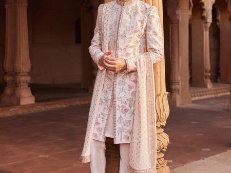 Flamingo Sherwani Set Supply