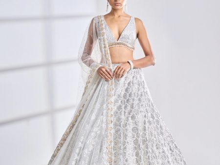 Silver Gold Lehenga Set Cheap