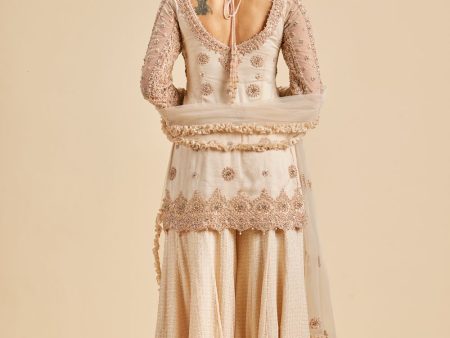 BLUSH PINK BELL SLEEVE GARARA SET Online now