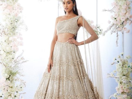 Champagne Sequin Lehenga Set Fashion