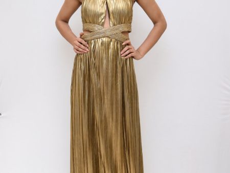 Champagne Pleted Chocker Gown Discount