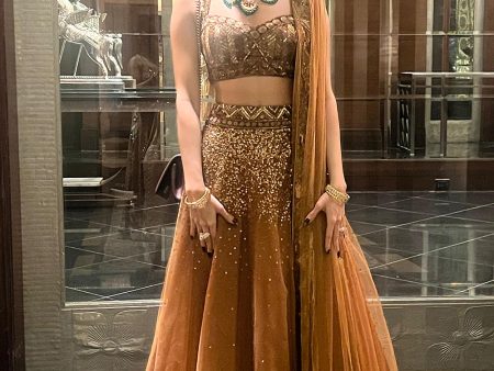 Bold Bronze Beauty Lehenga Set on Sale