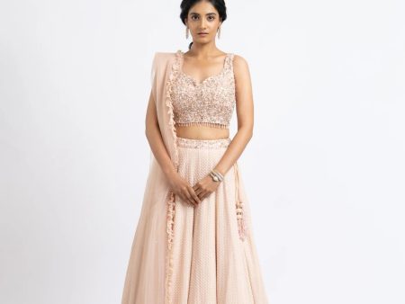 BLUSH PINK LEHENGA + CHOLI SET Online Hot Sale