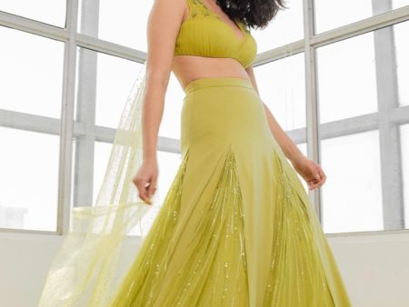 AW-12 - Lehenga For Discount