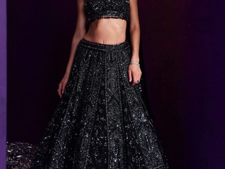 Black Net Lehenga Set Hot on Sale