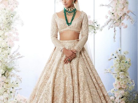 Rose Gold Trail Lehenga Set Online now