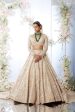 Rose Gold Trail Lehenga Set Online now