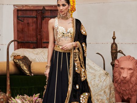 Sheesh Shyama Lehenga Fashion