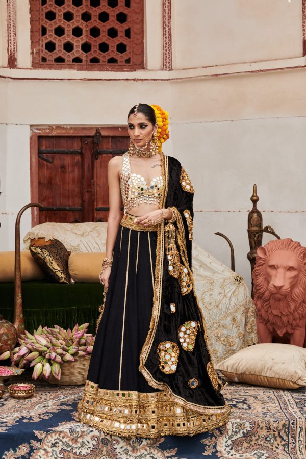 Sheesh Shyama Lehenga Fashion