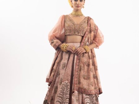 Stunning Lehenga Ensemble That Beautifully Merges Tradition With Modern Aesthetics For Discount