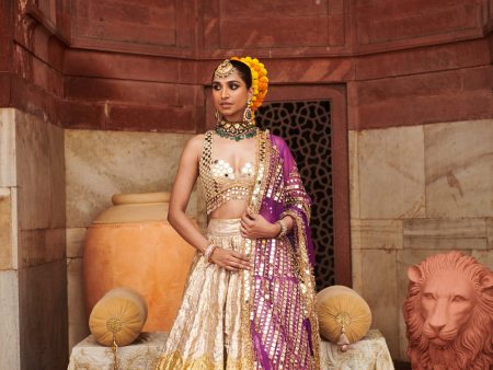 Chandi Sona Halftone Lehenga Online