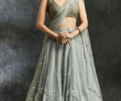 Sky Blue Organza Lehenga with White Threadwork Online now