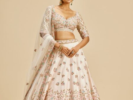 BLUSH PINK RAW SILK LEHENGA CHOLI SET Hot on Sale