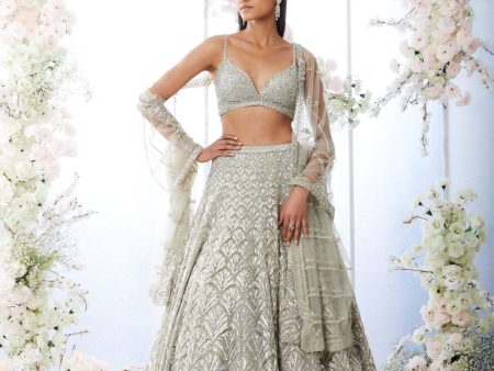 Silver Crystal Lehenga Set For Sale