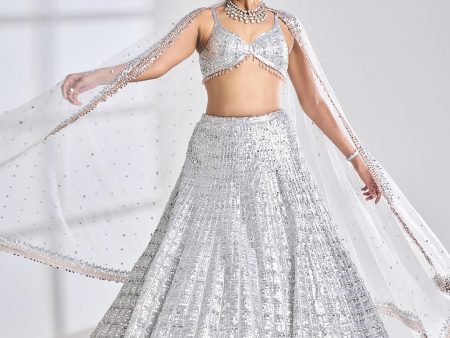 Silver Rose Gold Lehenga Set Online Hot Sale