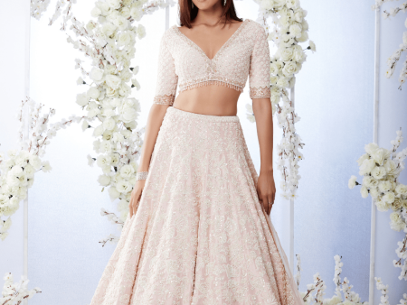 Blush Pearl Lehenga Set Hot on Sale