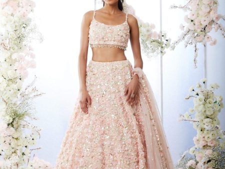 Rose Pink Three-Dimensional Floral Lehenga Set Supply