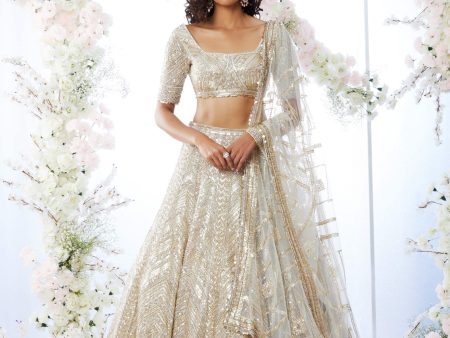 Antique Gold Sequin Lehenga Set Hot on Sale