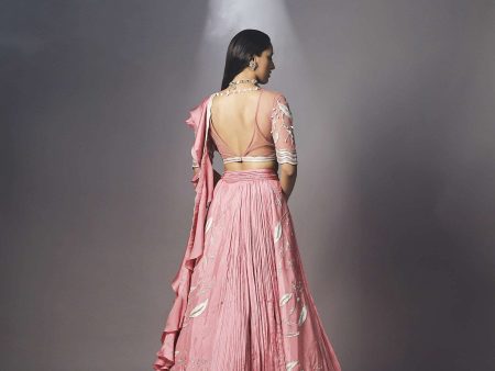 Cashmere rose pink multi panel  lehenga set Hot on Sale