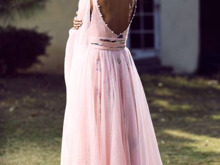 Blush Slit Anarkali Supply