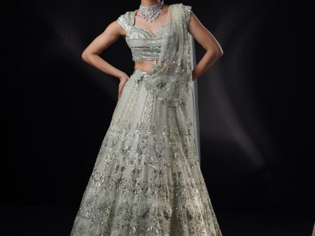 Emily  Seagreen Organza Applique Lehenga Set With Drape Online now