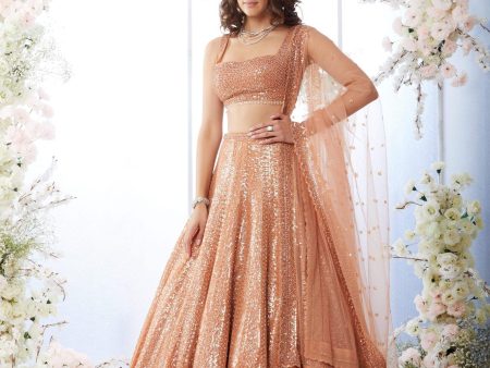 Rust Antique Sequin Lehenga Set For Sale