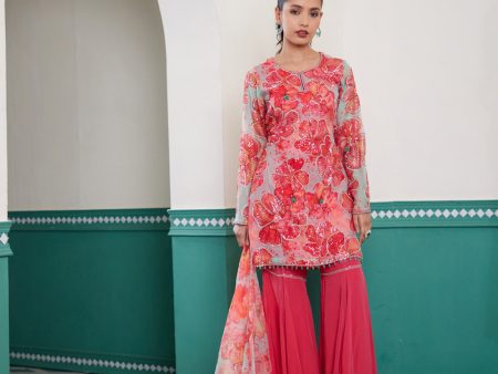 Gulsheen Pants Suit Set Online