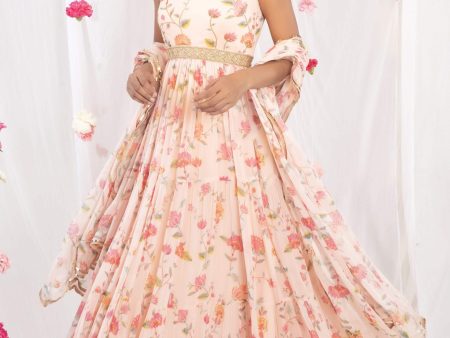 Pink spaghteete anarkali Online Hot Sale