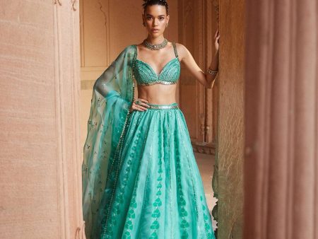 Aqua Green Organza Lehenga with Hand Block Printing Sale