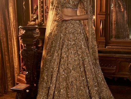 Antique Gold Tissue Lehenga Set For Cheap